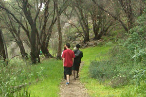 Boys walking on a path in the woods